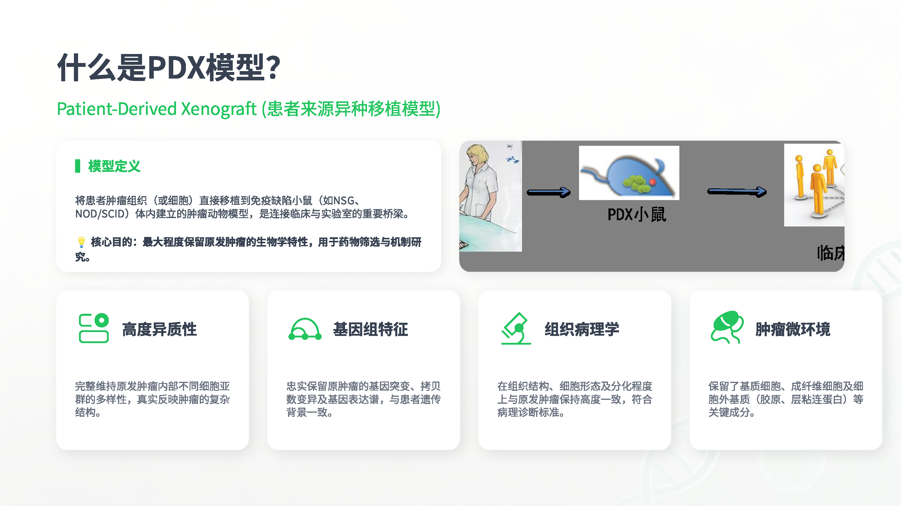 展示