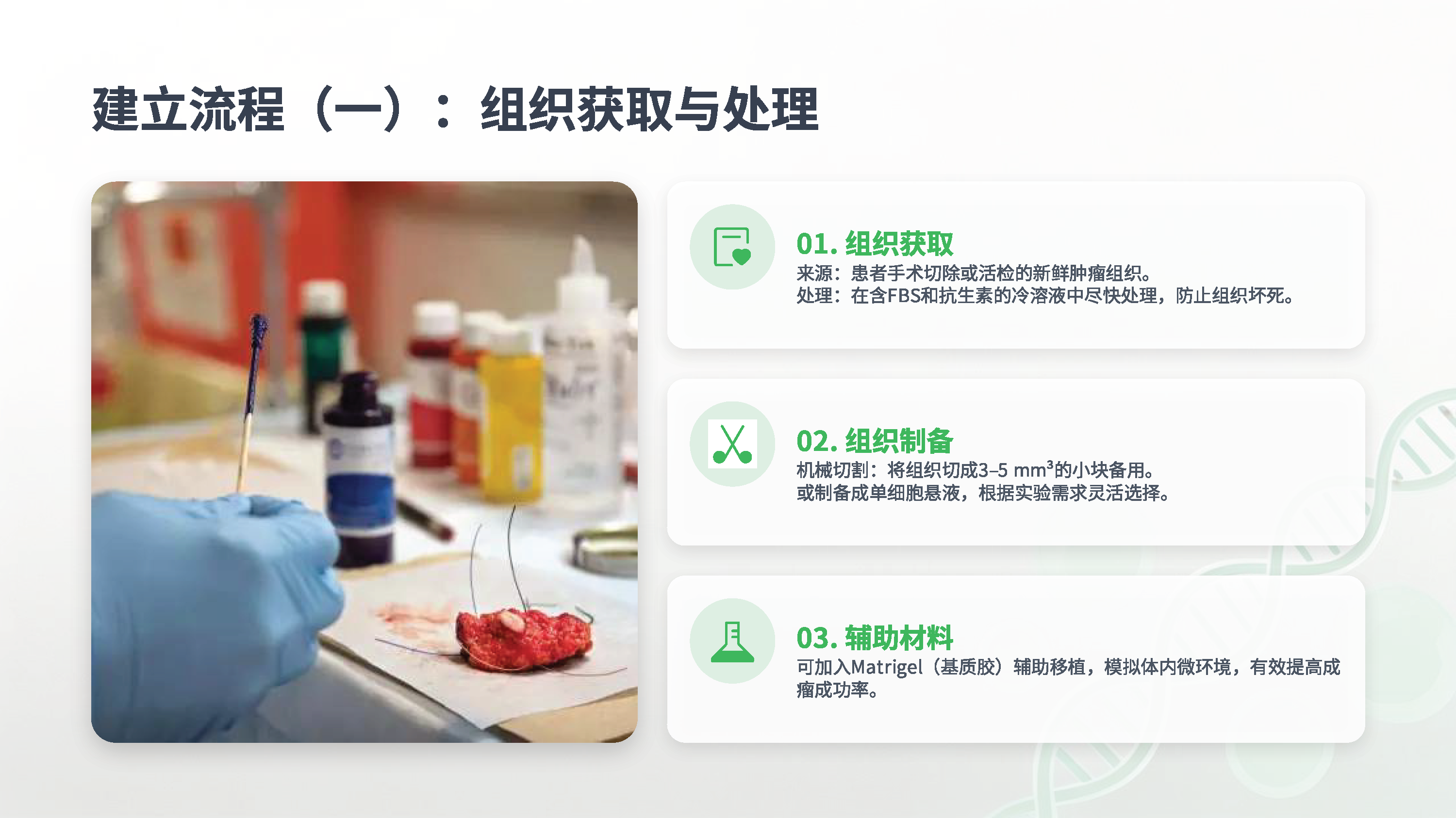 展示