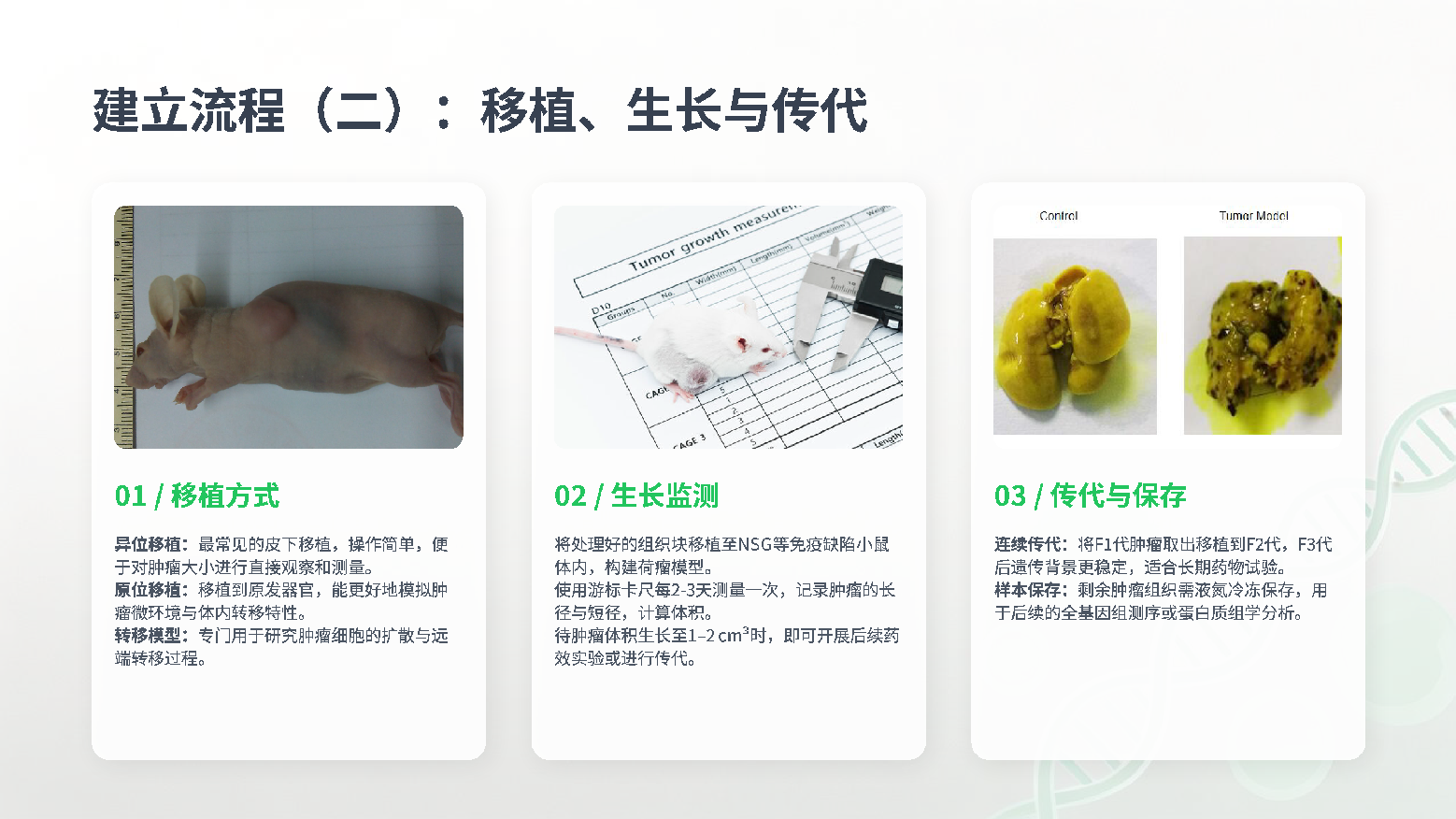 展示