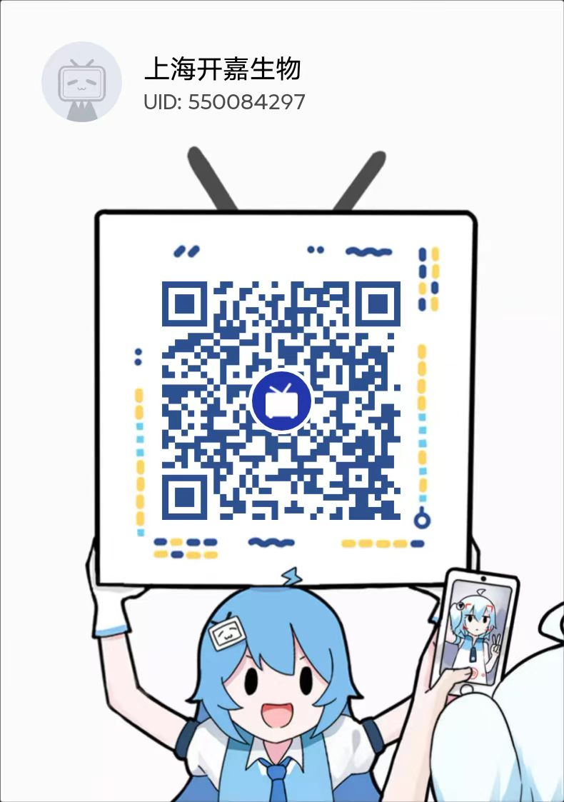 B站