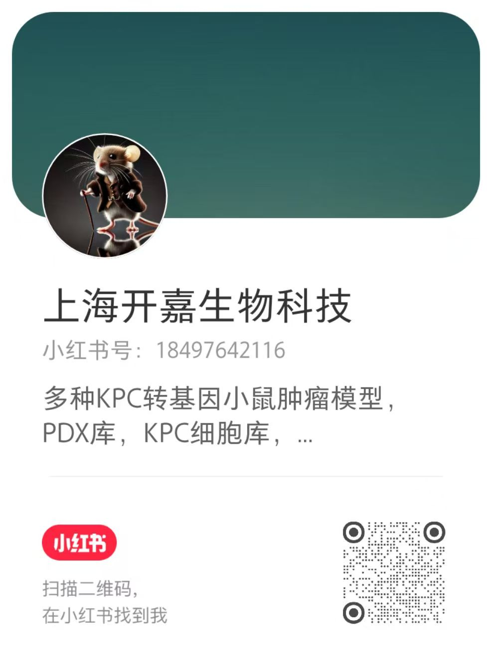小红书